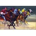Ceramic Tile Mural Backsplash Senkarik Race Horses Jockey Art MSA041   112316694153